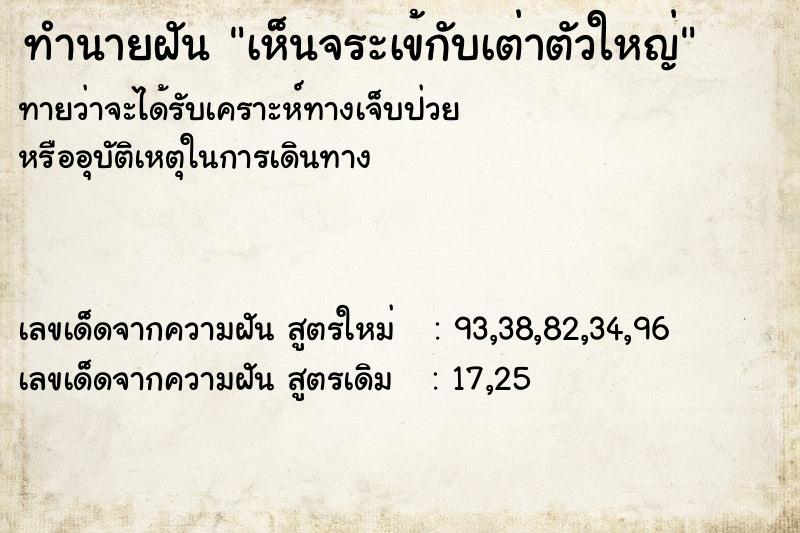 ทำนายฝันเห็นจระเข้กับเต่าตัวใหญ่ ทำนายฝันทำนายฝันเห็นจระเข้กับเต่าตัวใหญ่