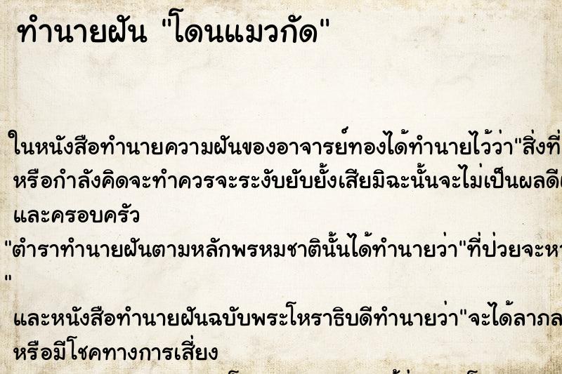 ทำนายฝัน โดนแมวกัด