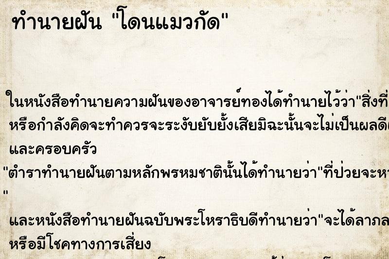 ทำนายฝัน โดนแมวกัด ตำราโบราณ แม่นที่สุดในโลก