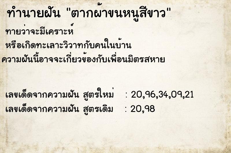 ทำนายฝันตากผ้าขนหนูสีขาว ทำนายฝันทำนายฝันตากผ้าขนหนูสีขาว