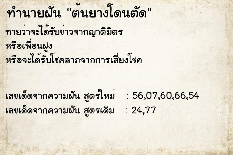 ทำนายฝัน ต้นยางโดนตัด ทำนายฝัน ต้นยางโดนตัด