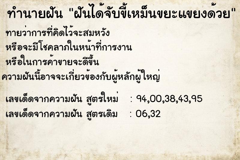 ทำนายฝันทำนายฝันฝันได้จับขี้เหม็นขยะแขยงด้วย