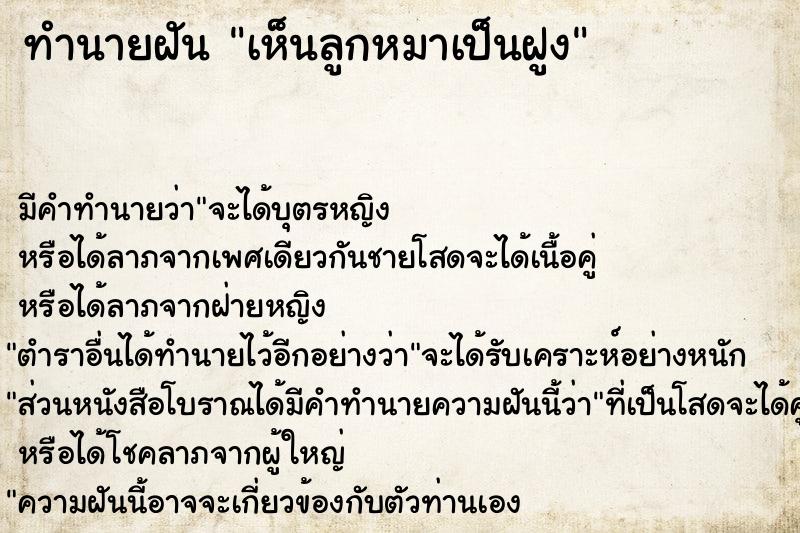 ทำนายฝัน เห็นลูกหมาเป็นฝูง ทำนายฝัน เห็นลูกหมาเป็นฝูง