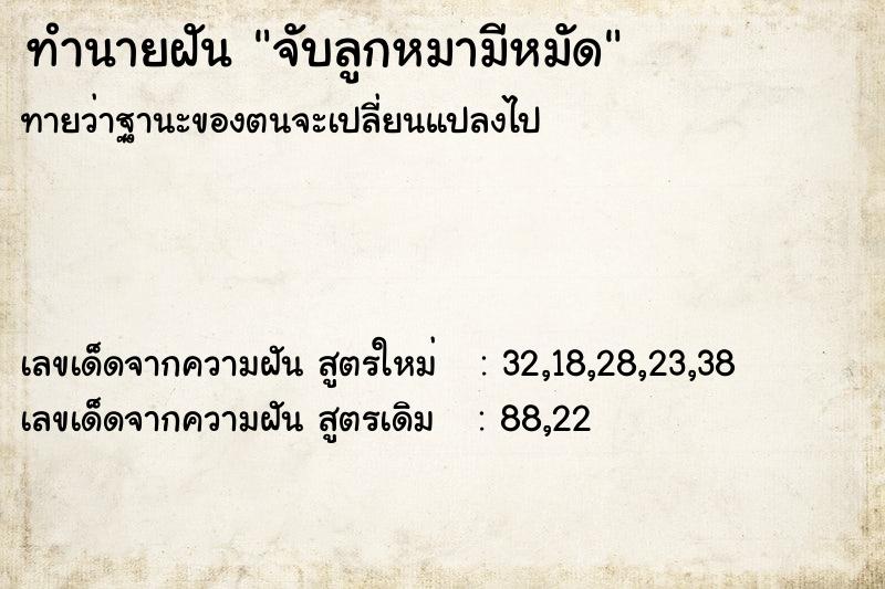 ทำนายฝันจับลูกหมามีหมัด ทำนายฝันทำนายฝันจับลูกหมามีหมัด