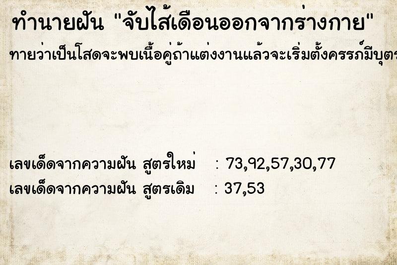 ทำนายฝันจับไส้เดือนออกจากร่างกาย ทำนายฝันทำนายฝันจับไส้เดือนออกจากร่างกาย