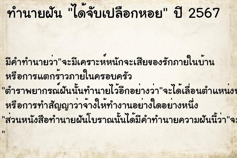 ทำนายฝันทำนายฝันได้จับเปลือกหอย