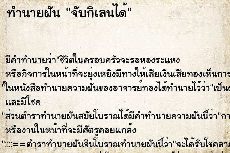 ทำนายฝัน จับกิเลนได้ ทำนายฝัน จับกิเลนได้