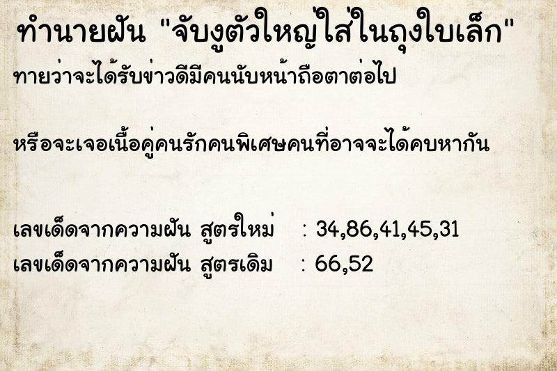 ทำนายฝันจับงูตัวใหญ่ใส่ในถุงใบเล็ก ทำนายฝันทำนายฝันจับงูตัวใหญ่ใส่ในถุงใบเล็ก
