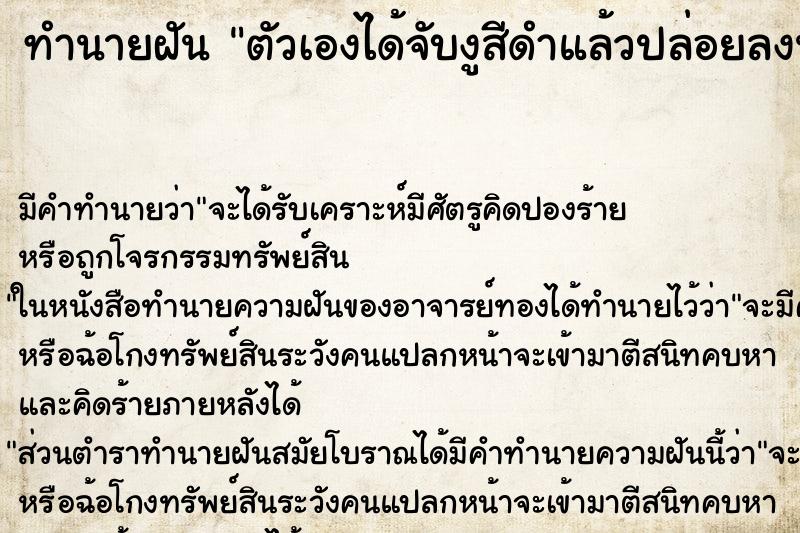 ทำนายฝัน ตัวเองได้จับงูสีดำแล้วปล่อยลงน้ำ ทำนายฝัน ตัวเองได้จับงูสีดำแล้วปล่อยลงน้ำ