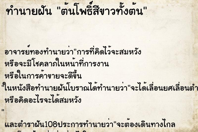 ทำนายฝัน ต้นโพธิ์สีขาวทั้งต้น ทำนายฝัน ต้นโพธิ์สีขาวทั้งต้น