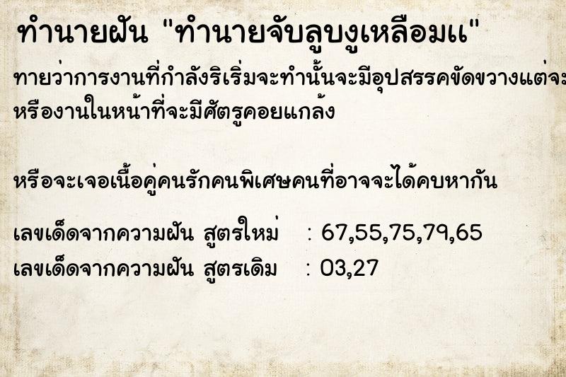 ทำนายฝันทำนายฝันทำนายจับลูบงูเหลือมเà