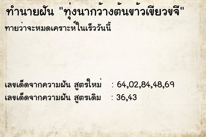 ทำนายฝันทุ่งนากว้างต้นขา้วเขียวขจี ทำนายฝันทำนายฝันทุ่งนากว้างต้นขา้วเขียวขจี