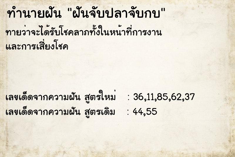 ทำนายฝันทำนายฝันฝันจับปลาจับกบ