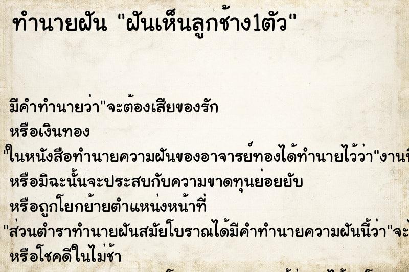 ทำนายฝันฝันเห็นลูกช้าง1ตัว ทำนายฝันทำนายฝันฝันเห็นลูกช้าง1ตัว