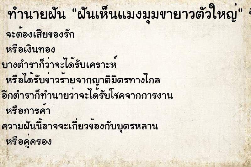 ทำนายฝันฝันเห็นแมงมุมขายาวตัวใหญ่ ทำนายฝันทำนายฝันฝันเห็นแมงมุมขายาวตัวใหญ่