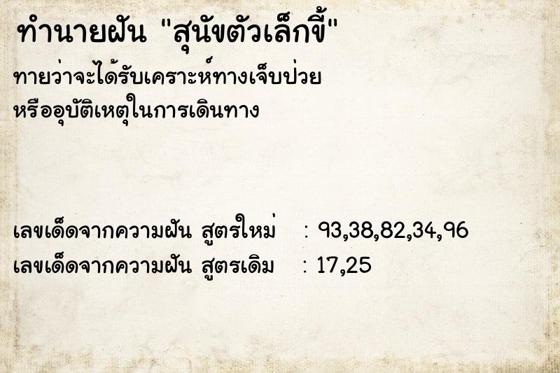 ทำนายฝันสุนัขตัวเล็กขี้ ทำนายฝันทำนายฝันสุนัขตัวเล็กขี้