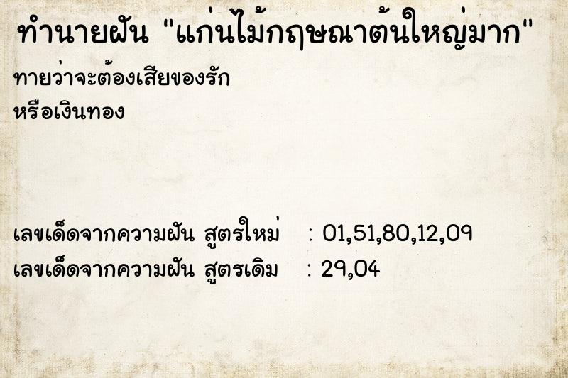 ทำนายฝัน แก่นไม้กฤษณาต้นใหญ่มาก