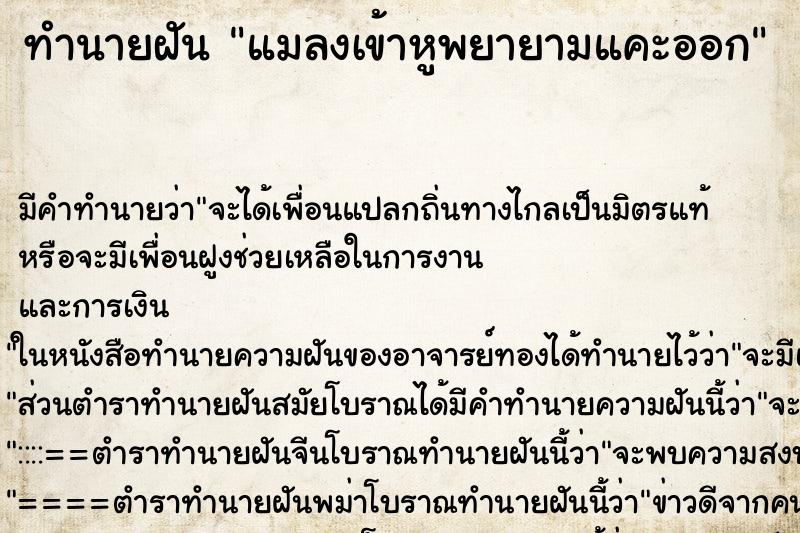 ทำนายฝันแมลงเข้าหูพยายามแคะออก ทำนายฝันทำนายฝันแมลงเข้าหูพยายามแคะออก