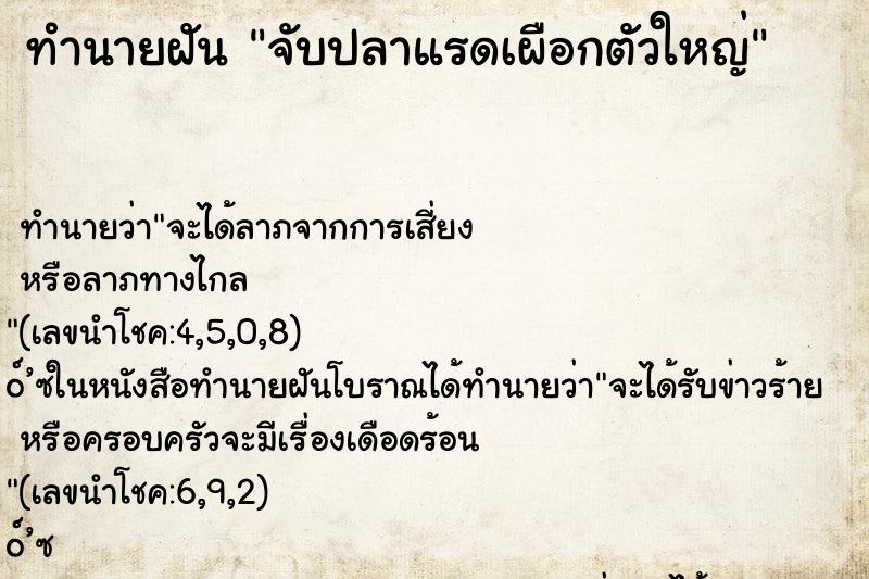ทำนายฝัน จับปลาแรดเผือกตัวใหญ่ ทำนายฝัน จับปลาแรดเผือกตัวใหญ่