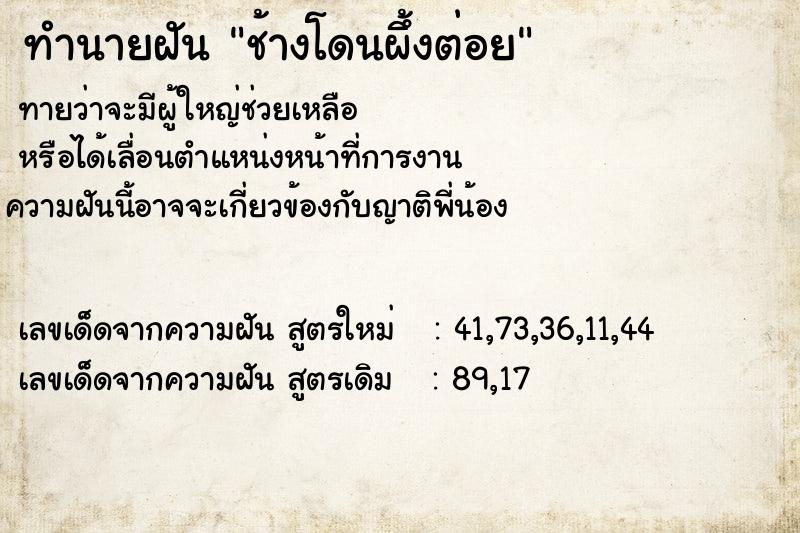 ทำนายฝันทำนายฝันช้างโดนผึ้งต่อย