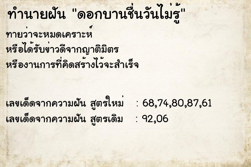 ทำนายฝันดอกบานชื่นวันไม่รู้ ทำนายฝันทำนายฝันดอกบานชื่นวันไม่รู้