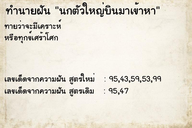 ทำนายฝันนกตัวใหญ่บินมาเข้าหา ทำนายฝันทำนายฝันนกตัวใหญ่บินมาเข้าหา