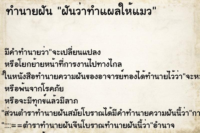 ทำนายฝันทำนายฝันฝันว่าทำแผลให้แมว