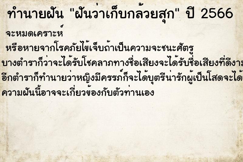 ทำนายฝันฝันว่าเก็บกล้วยสุก ทำนายฝันทำนายฝันฝันว่าเก็บกล้วยสุก