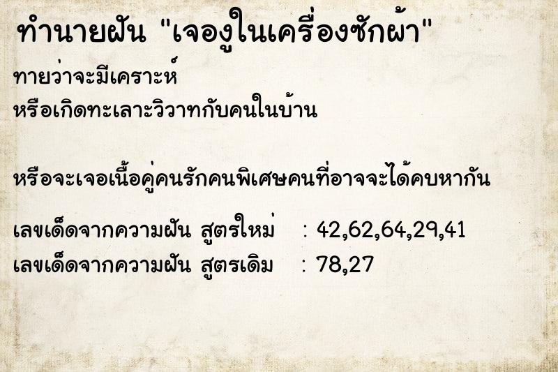 ทำนายฝันทำนายฝันเจองูในเครื่องซักผ้า