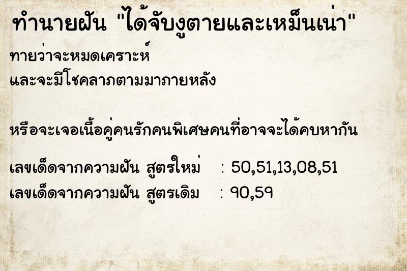 ทำนายฝัน ได้จับงูตายและเหม็นเน่า ทำนายฝัน ได้จับงูตายและเหม็นเน่า