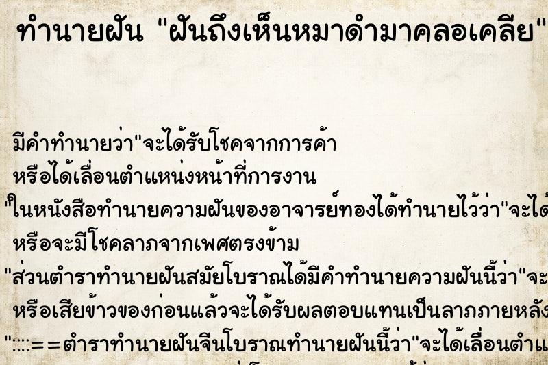 ทำนายฝัน ฝันถึงเห็นหมาดำมาคลอเคลีย ทำนายฝัน ฝันถึงเห็นหมาดำมาคลอเคลีย