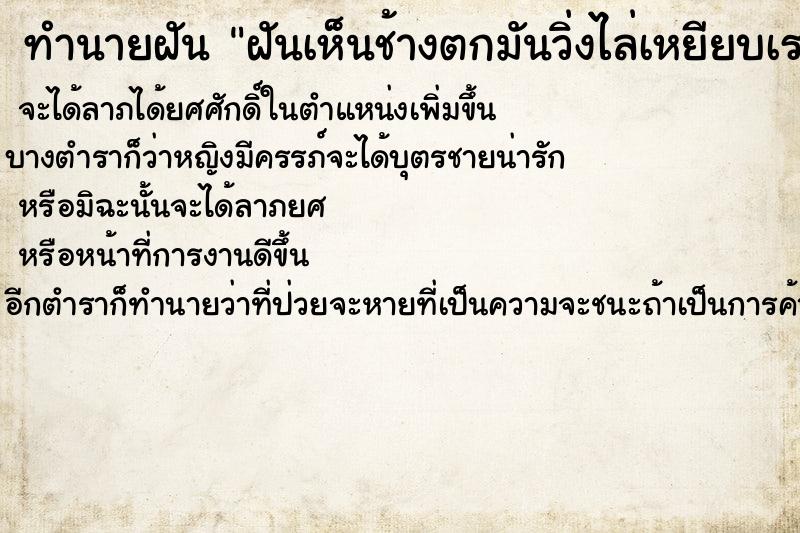 ทำนายฝันฝันเห็นช้างตกมันวิ่งไล่เหยียบเรา ทำนายฝันทำนายฝันฝันเห็นช้างตกมันวิ่งไล่เหยียบเรา