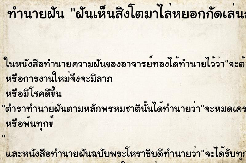 ทำนายฝันทำนายฝันฝันเห็นสิงโตมาไล่หยอกกัดเล่นกับเรา