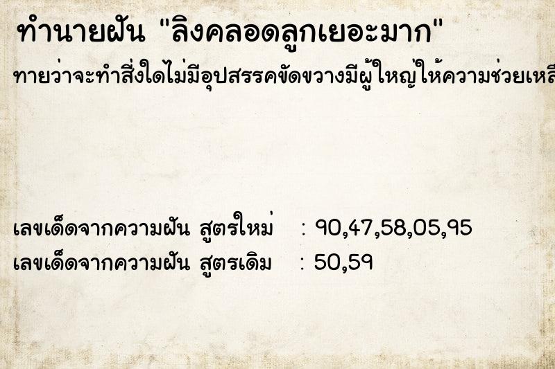 ทำนายฝันทำนายฝันลิงคลอดลูกเยอะมาก