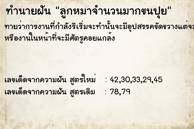 ทำนายฝันลูกหมาจำนวนมากขนปุย ทำนายฝันทำนายฝันลูกหมาจำนวนมากขนปุย