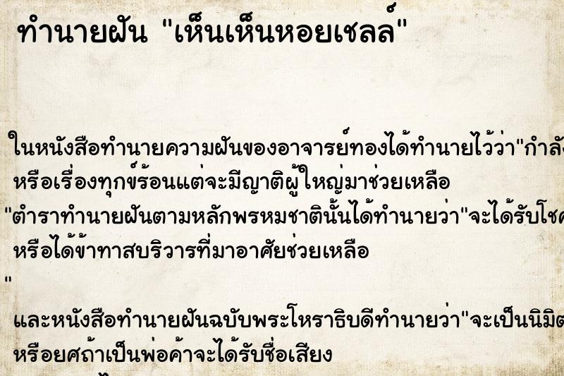 ทำนายฝัน เห็นเห็นหอยเชลล์ ทำนายฝัน เห็นเห็นหอยเชลล์