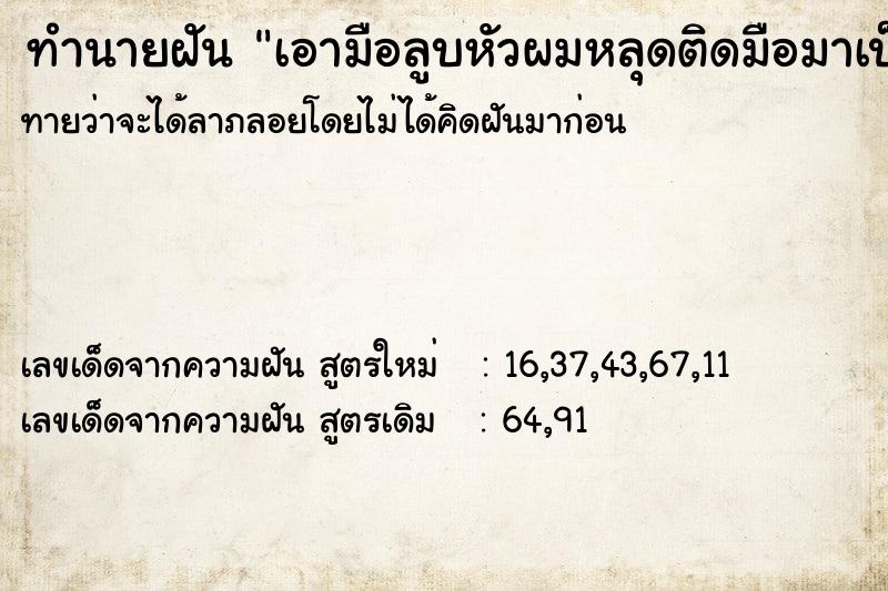ทำนายฝันเอามือลูบหัวผมหลุดติดมือมาเป็นกำ ทำนายฝันทำนายฝันเอามือลูบหัวผมหลุดติดมือมาเป็นกำ