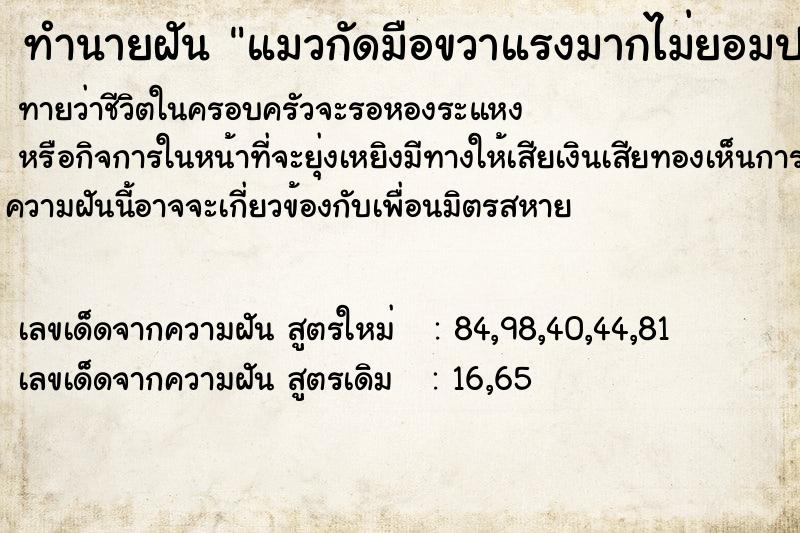 ทำนายฝันแมวกัดมือขวาแรงมากไม่ยอมปล่อยเจ็บจนสะดุ้งตื่น ทำนายฝันทำนายฝันแมวกัดมือขวาแรงมากไม่ยอมปล่อยเจ็บจนสะดุ้งตื่น