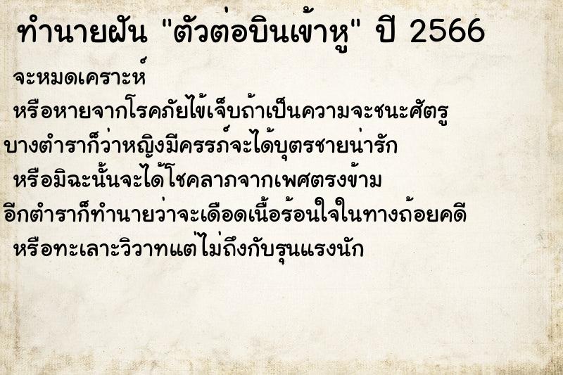 ทำนายฝัน ตัวต่อบินเข้าหู