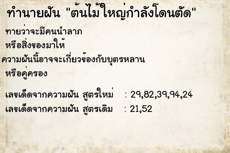 ทำนายฝันทำนายฝันต้นไม้ใหญ่กำลังโดนตัด