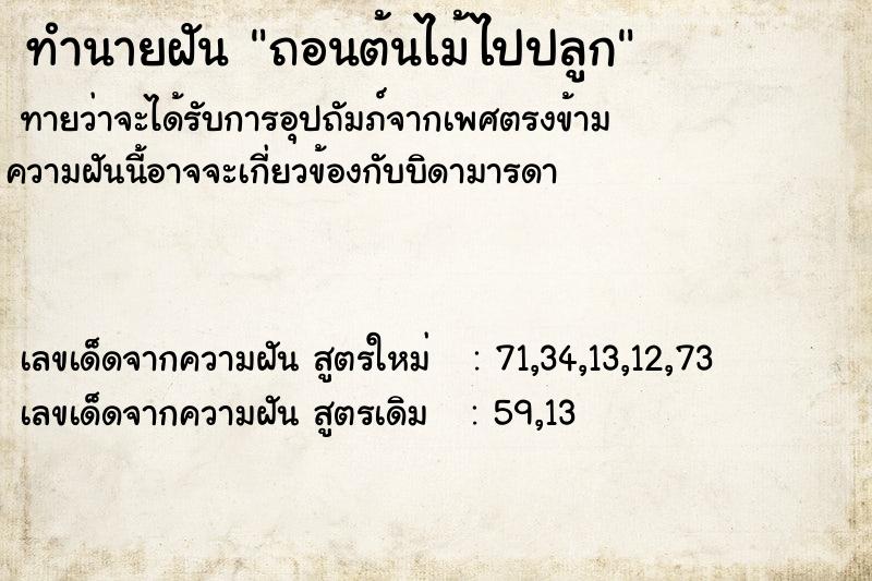 ทำนายฝันถอนต้นไม้ไปปลูก ทำนายฝันทำนายฝันถอนต้นไม้ไปปลูก