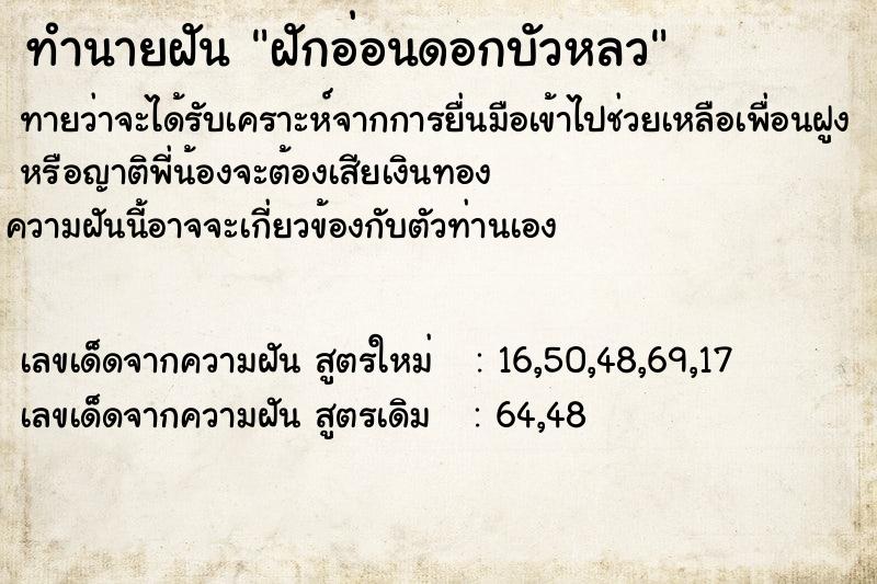 ทำนายฝัน ฝักอ่อนดอกบัวหลว ทำนายฝัน ฝักอ่อนดอกบัวหลว