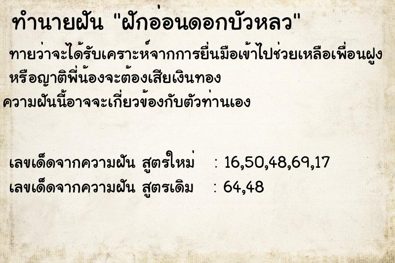 ทำนายฝัน ฝักอ่อนดอกบัวหลว ตำราโบราณ แม่นที่สุดในโลก