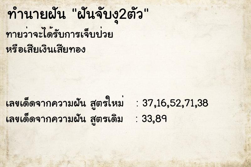 ทำนายฝันฝันจับงุ2ตัว ทำนายฝันทำนายฝันฝันจับงุ2ตัว