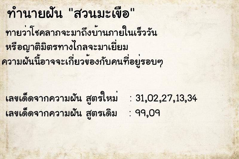ทำนายฝันสวนมะเขือ ทำนายฝันทำนายฝันสวนมะเขือ