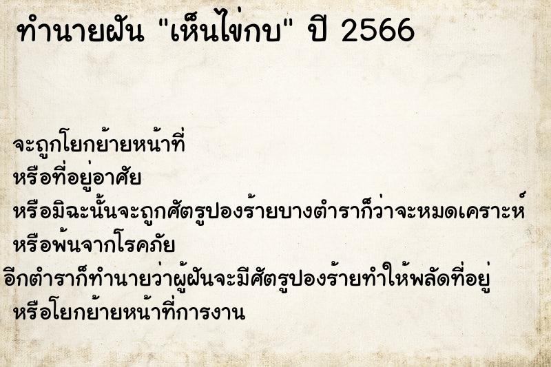 ทำนายฝันทำนายฝันเห็นไข่กบ