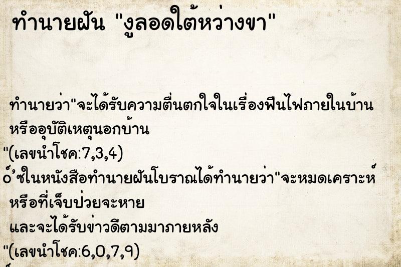 ทำนายฝัน งูลอดใต้หว่างขา ทำนายฝัน งูลอดใต้หว่างขา
