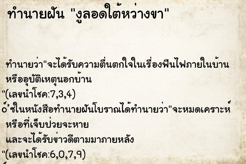 ทำนายฝัน งูลอดใต้หว่างขา ตำราโบราณ แม่นที่สุดในโลก