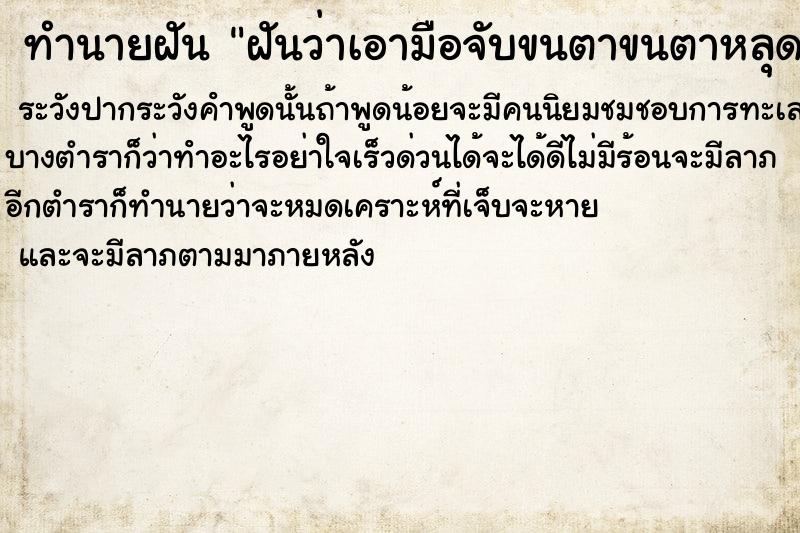 ทำนายฝันฝันว่าเอามือจับขนตาขนตาหลุดติดมือมาเยอะมาก ทำนายฝันทำนายฝันฝันว่าเอามือจับขนตาขนตาหลุดติดมือมาเยอะมาก