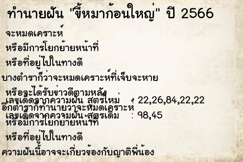 ทำนายฝัน ขี้หมาก้อนใหญ่ ทำนายฝัน ขี้หมาก้อนใหญ่